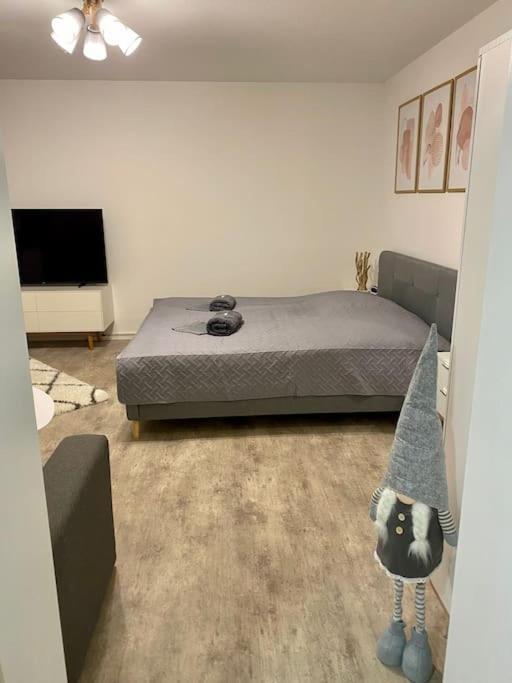 Stilvolle Ferienwohnung Mit Stellplatz Wlan Free Netflix Naehe Bahnhof Zwickau Extérieur photo
